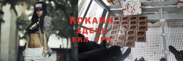 винт Аркадак