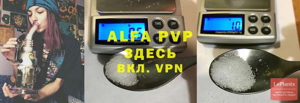 сатива Арсеньев