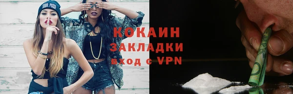 сатива Арсеньев