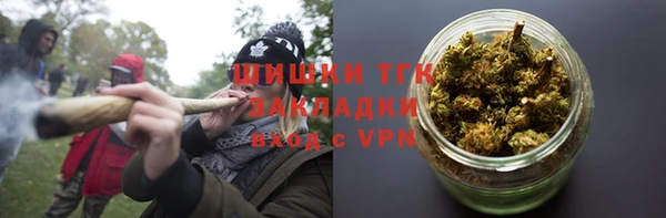 винт Аркадак