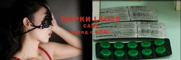 индика Армянск