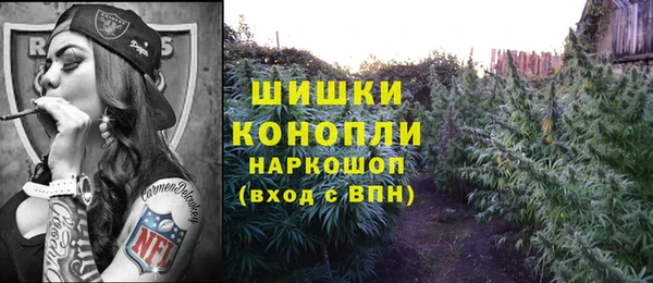сатива Арсеньев