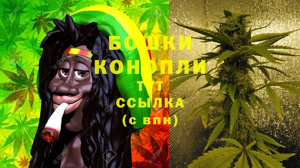 сатива Арсеньев