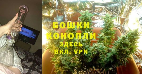 индика Армянск
